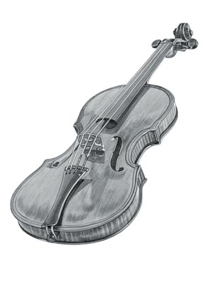 Violin